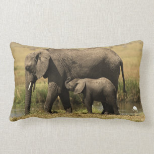 Cojín Lumbar Elefantes africanos