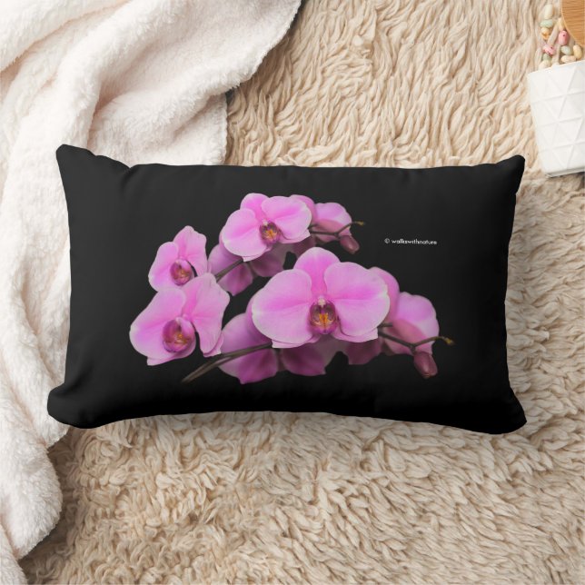 Cojín Lumbar Elegante orquídeas rosas Falenopsis en negro (Manta)