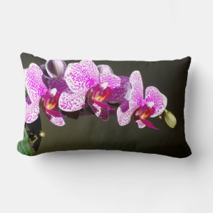 Cojín Lumbar Elegantes orquídeas de flores florales tropicales