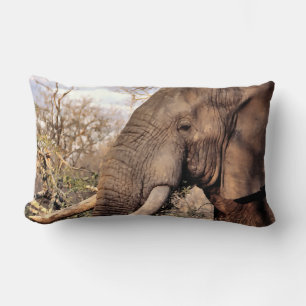 Cojín Lumbar Elephant Lovers Art