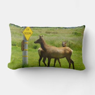 Cojín Lumbar Elk Crossing California Wildlife Photography