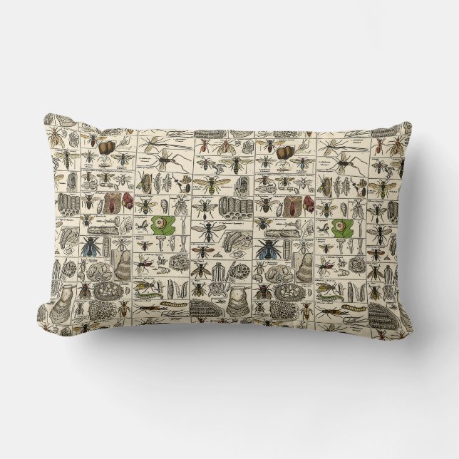 Cojín Lumbar Entomología del vintage (Anverso)