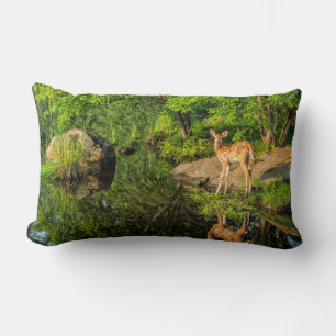 Cojín Lumbar Estados Unidos, Minnesota, Sandstone, Vida silvest