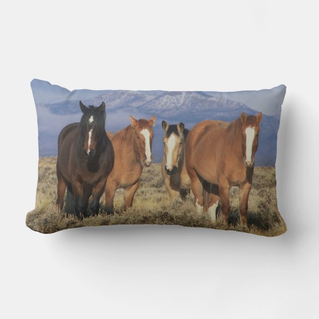 Cojín Lumbar Estados Unidos, Wyoming, cerca del Grupo Cody de c (Anverso)