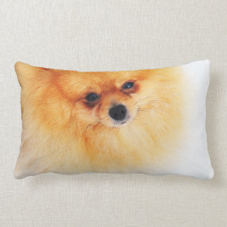 Cojín Lumbar ¡Estoy aquí!