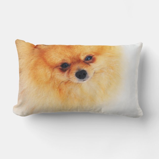 Cojín Lumbar ¡Estoy aquí! (Anverso)