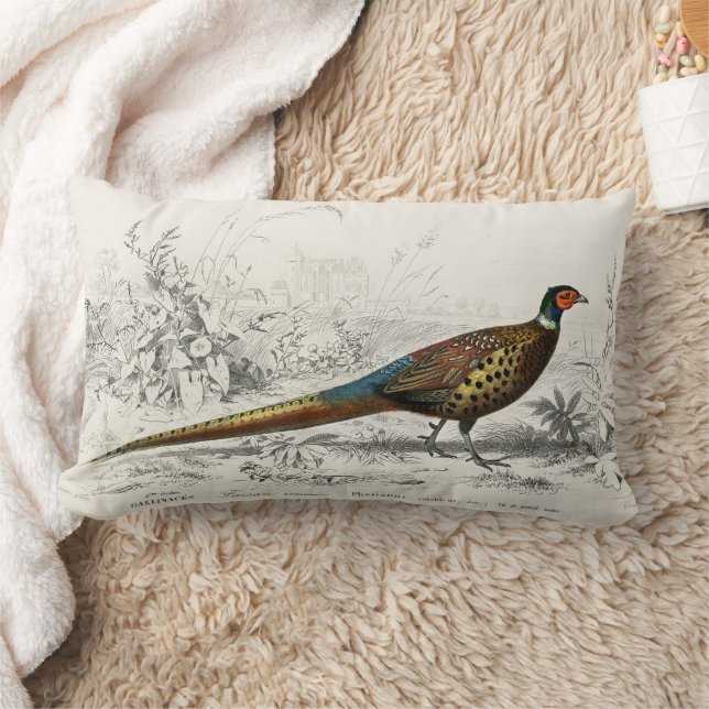 Cojín Lumbar Faisán vintage (Manta)