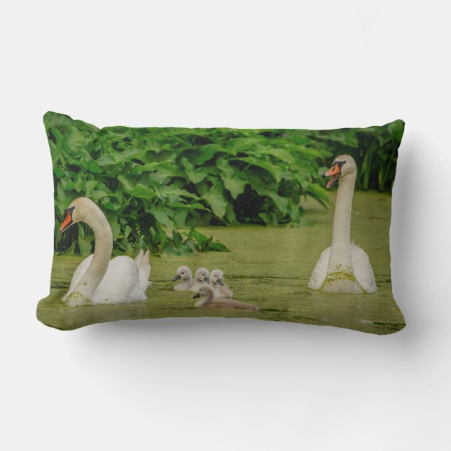 Cojín Lumbar Familia Swan (Anverso)