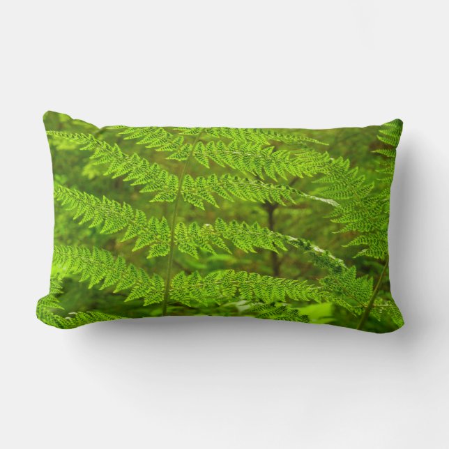 Cojín Lumbar Fern Fronds III Naturaleza verde Botánica (Anverso)