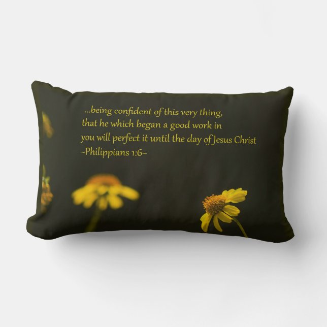 Cojín Lumbar Filipinas 1:6 (Anverso)