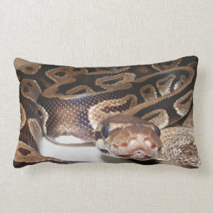 Cojín Lumbar Fiona dice hola