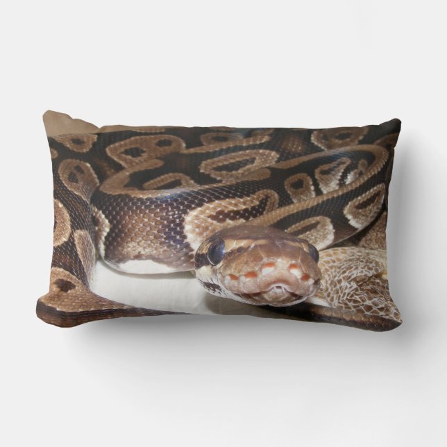 Cojín Lumbar Fiona dice hola (Anverso)