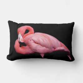 Cojín Lumbar Flamingo rosado en negro