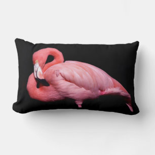 Cojín Lumbar Flamingo rosado en negro