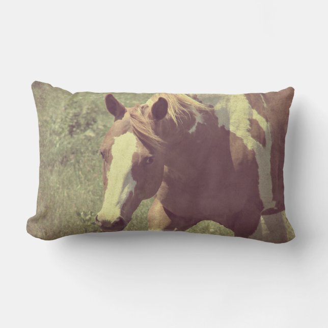 Cojín Lumbar Flashy (Anverso)