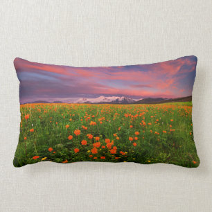 Cojín Lumbar Flor de globo floreciente
