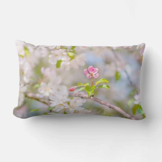 Cojín Lumbar Flor de manzana - Belleza (Anverso)