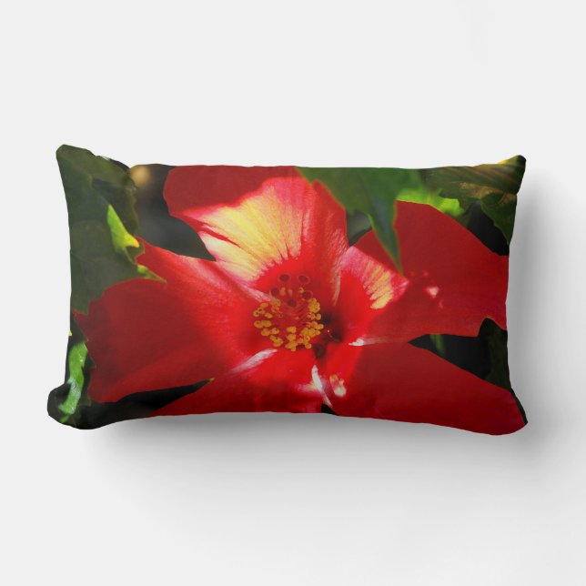 Cojín Lumbar Flor roja hibiscus en el sol (Anverso)