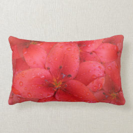 Cojín Lumbar Flor roja lirio en el jardín foto lluvias