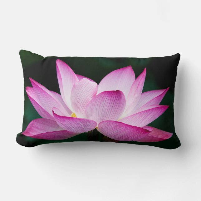 Cojín Lumbar Flor rosa Lotus (Anverso)