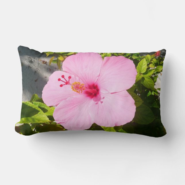 Cojín Lumbar Flor tropical Hibiscus rosa (Anverso)