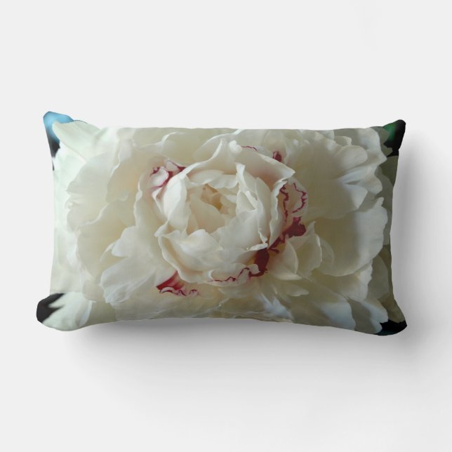 Cojín Lumbar Floración hermosa del Peony (Anverso)