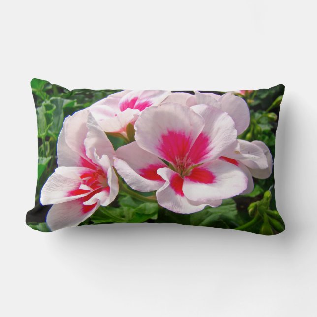 Cojín Lumbar Floral de geranio rosa y rojo (Anverso)