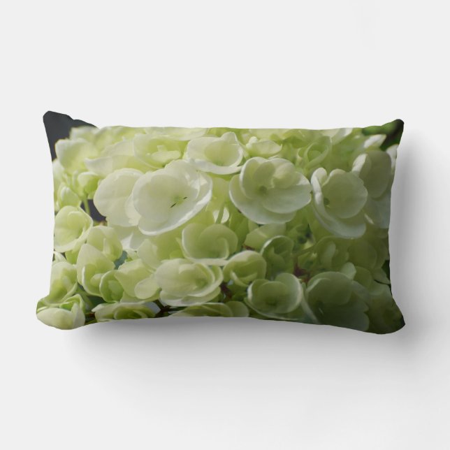 Cojín Lumbar Flores blancos del Hydrangea (Anverso)
