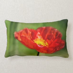 Cojín Lumbar Flores de amapola bonito