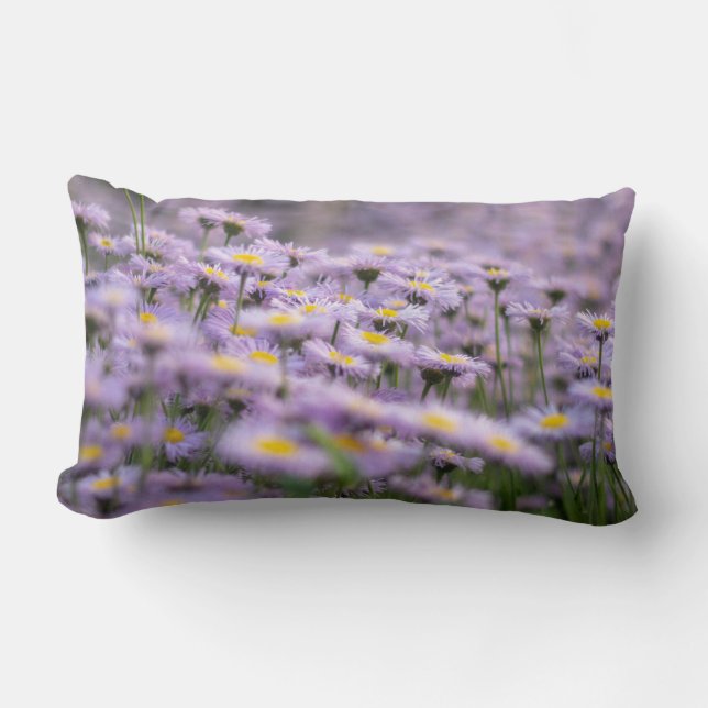 Cojín Lumbar Flores de Aster Púrpura (Anverso)