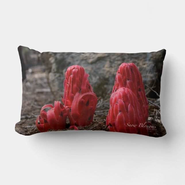 Cojín Lumbar Flores de nieve (Anverso)