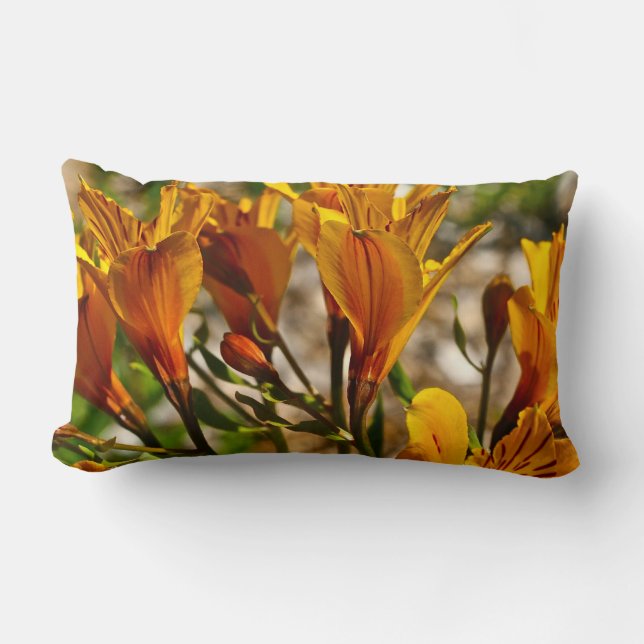 COJÍN LUMBAR FLORES SALVAJES ANARANJADAS DE LA PRIMAVERA (Anverso)