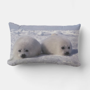 Cojín Lumbar Foca de Groenlandia (Phoca groenlandica) Crías de