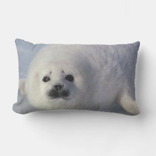 Cojín Lumbar Foca de Groenlandia (Phoca groenlandica) Una cría