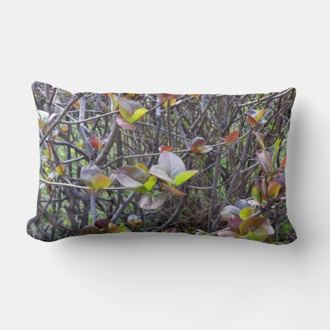 Cojín Lumbar folletos sobre ramas (Anverso)