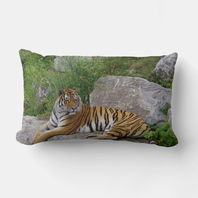 Cojín Lumbar Foto de retrato de un tigre siberiano (Anverso)