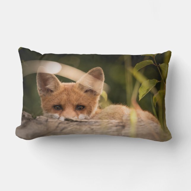 Cojín Lumbar Foto de un Pequeño Naranja Fox (Anverso)