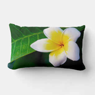 Cojín Lumbar Fotografía de Flor de Plumeria