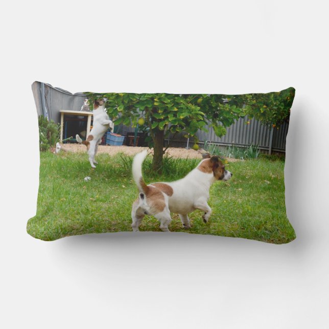 Cojín Lumbar Fox Terrier Play Time Lumbar Cushion (Anverso)