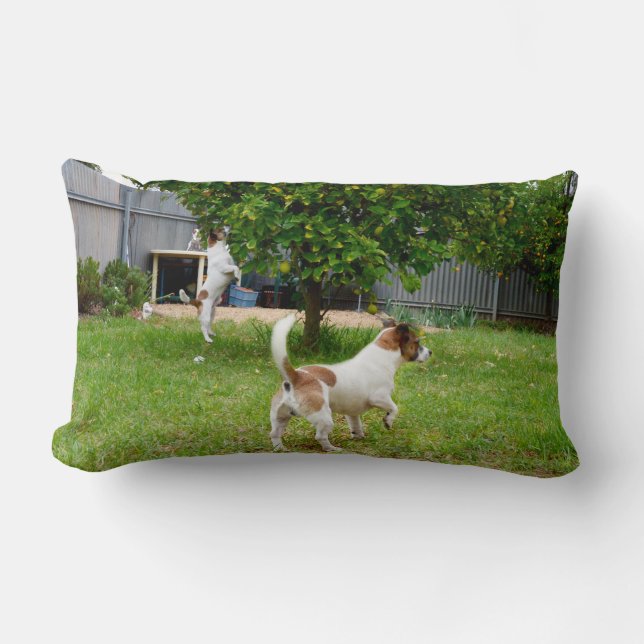 Cojín Lumbar Fox Terrier Saltando a un Árbol, (Anverso)