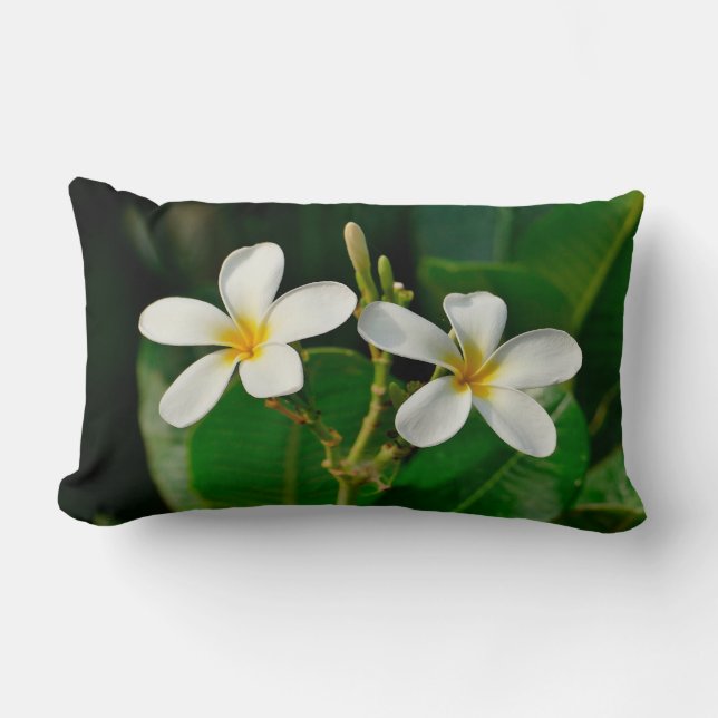 Cojín Lumbar Frangipani blanco (Anverso)