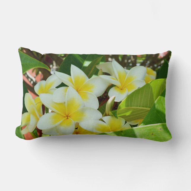 Cojín Lumbar Frangipanis Amarillos Crecen En Un Cushiro De Árbo (Anverso)