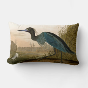 Cojín Lumbar Garza Grulla Azul Impresión de Audubon Arte Coster