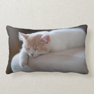 Cojín Lumbar Gatito beige y blanco cansado