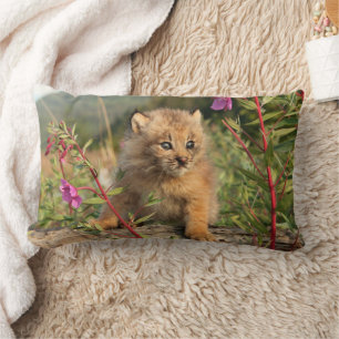 Cojín Lumbar Gatito de lince canadiense, Alaska