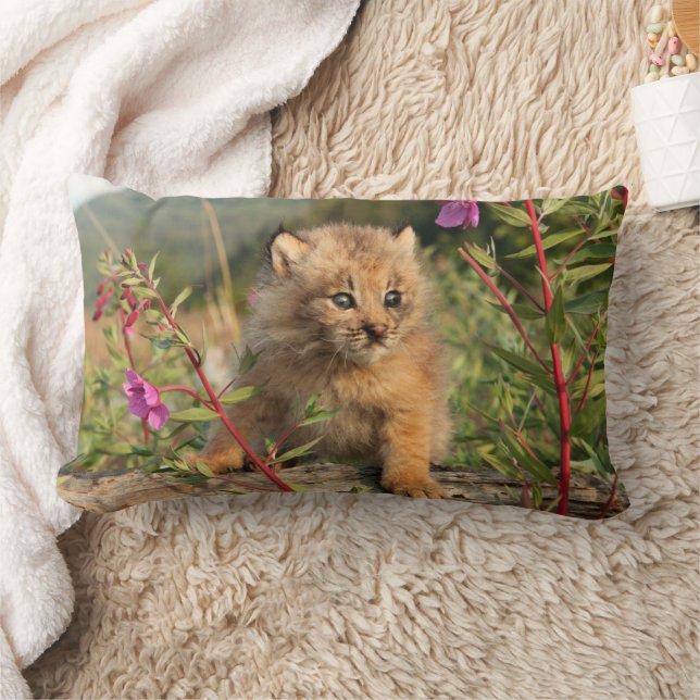 Cojín Lumbar Gatito de lince canadiense, Alaska (Manta)