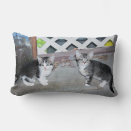 Cojín Lumbar Gatitos