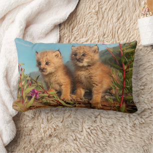 Cojín Lumbar Gatitos de lince canadiense, Alaska