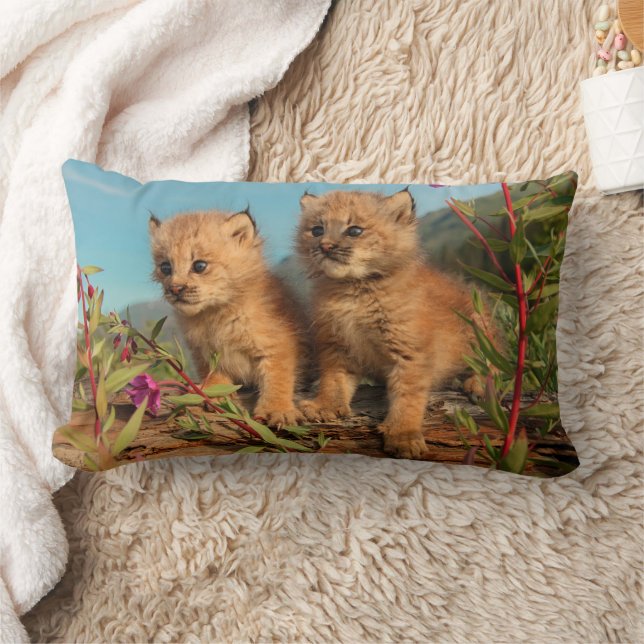 Cojín Lumbar Gatitos de lince canadiense, Alaska (Manta)