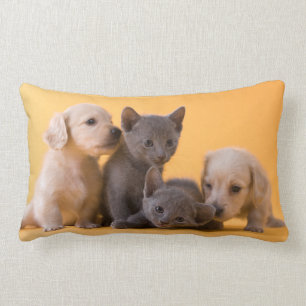 Cojín Lumbar Gatitos y perritos azules rusos del Dachshund